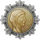 Icon_achievement_ATB_HESTIA.png