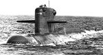 Navaga_667A_1.jpg