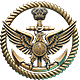 Icon_achievement_FILLALBUM_ITCA_COMPLETED.png