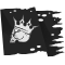 PCEE209_Jolly_Roger_6.png