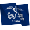 PCEE239_Iowa_flag.png