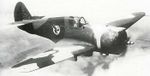 P-36C_фото.jpeg
