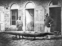 в каком году построили первую подводную лодку. 200px Robert Whitehead with battered test torpedo Fiume c1875. в каком году построили первую подводную лодку фото. в каком году построили первую подводную лодку-200px Robert Whitehead with battered test torpedo Fiume c1875. картинка в каком году построили первую подводную лодку. картинка 200px Robert Whitehead with battered test torpedo Fiume c1875. Различная военная техника, включая авианосцы, должна быть мощной и внушительной, чтобы противник тысячу раз подумал, прежде чем рискнуть напасть. Кроме того, для достижения желаемой цели военную технику должно быть полностью видно, но ситуация с подводными лодками совершенно иная.