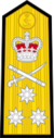 British_Royal_Navy_OF-8.svg.png