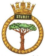 Sturdy.jpeg