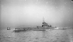 HMS_D8.jpg