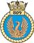809_Squadron_of_the_Royal_Navy_Fleet_Air_Arms_badge.jpg
