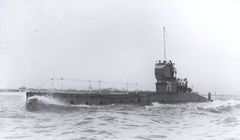 HMS_D6.jpg
