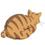 PCZC156_HSF_Isoroku-sm.png