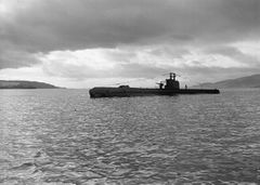 HMS_Sea_Nymph_(P223).jpg