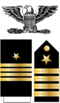 245px-US_Navy_O6_insignia.svg.png