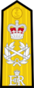 British_Royal_Navy_OF-10.svg.png